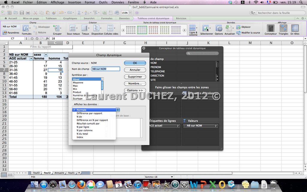 Tableaux croisés dynamiques sur Excel 2011